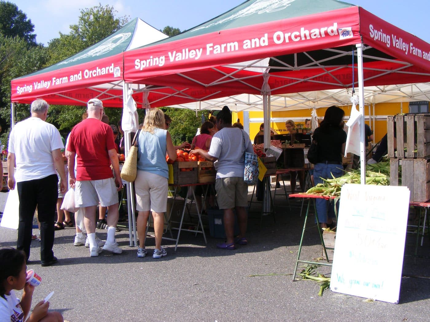 Farmers market stand