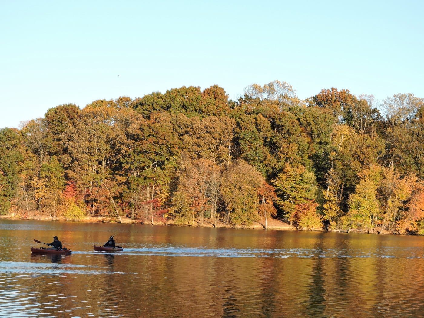 Kayakers on a lake in the fall