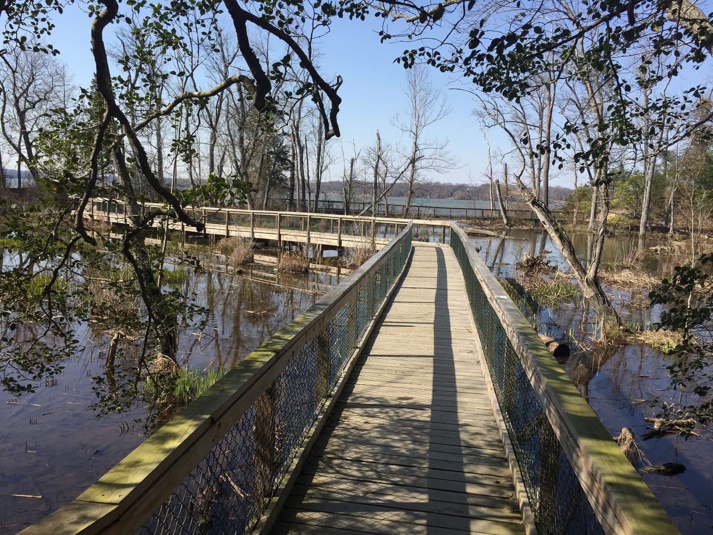 Boardwalk trail over the wetlands
